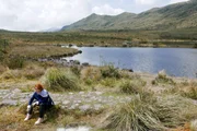 <p>Im Páramo auf 3.400 Meter Höhe, rund 40 Autominuten von Bogotá entfernt, studiert Leonor Espinosa für ihre Küche verschiedene Ökosysteme.</p>