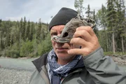 Jeremy Wade in the water with a Siamese Carp.