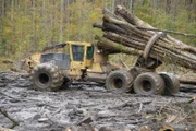 Clambunk Skidder pulling logs through the swamp.