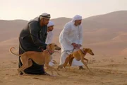 Dogs and their owners