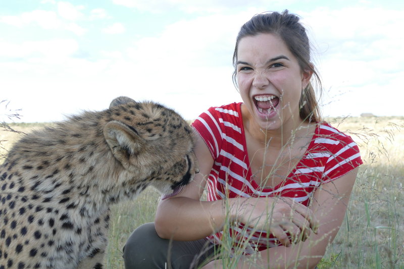 Anna Und Die Wilden Tiere Spinnen