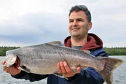 <p>Der in Alaska beheimatete Rotlachs ist ein essenzielles Element in den Gerichten des Küchenchefs Rob Kinneen.</p>