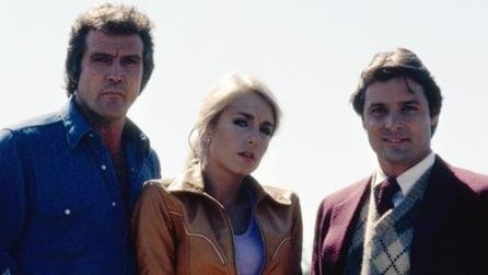 Eigentlich ist Colt Seavers (Lee Majors) Hollywood-Suntman, doch um finanziell besser über die Runden zu kommen, hat er sich ein zweites Standbein als Kopfgeldjäger aufgebaut und ist nach Feierabend den Verbrechern Kaliforniens auf der Spur. Seine Stuntman-Fähigkeiten kommen ihm während seiner spannenden und oftmals gefährlichen Einsätze natürlich zugute.