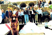 Rex und sein Partner Kommissar Moser (Tobias Moretti) haben das Geheimnis der Leichen auf der Baustelle fast aufgeklärt.
