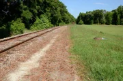 In der Nähe von Bahngleisen wird die Leiche eines jungen Mannes gefunden - von seiner Freundin fehlt jede Spur.