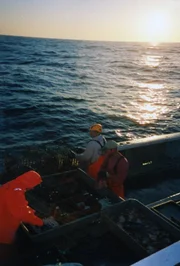 Jedes Jahr im November, wenn der Winter über Neuengland hereinbricht, bereitet sich eine Handvoll unerschrockener Männer im Fischerdorf Point Judith an der Küste des US-Bundesstaates Rhode Island darauf vor, dem Ozean einen wertvollen Schatz abzujagen: den Hummer.
