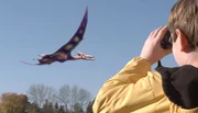 Dan sieht einen Quetzalcoatlus vorbeifliegen und macht eine wichtige Entdeckung.