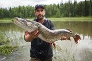 Es gibt große Fische und große Schwärme. In Alaska kommt beides zusammen. Dr. Zeb Hogan sucht nach den Orten, wo die Mega-Lachse wandern ...