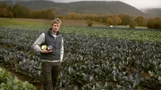 Lukas Bensel vor seinem Kohlfeld.