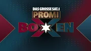 Das große SAT.1 Promiboxen - Artwork