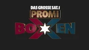 Das große SAT.1 Promiboxen - Artwork