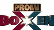 Das große SAT.1 Promiboxen - Artwork