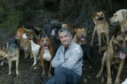 Er nimmt sich jedem noch so schwierigen Hund an: Cesar Millan ...