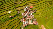 Die Reisterassen von Banaue reichen bis in eine Höhe von 1500 m über dem Meer.