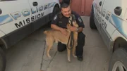 Mission, Texas: Mission Police Officer Roque Vela rewards his canine with a toy after stopping a package of marijuana from being shipped from a post office.