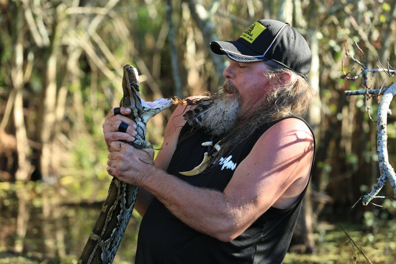 Die Pythonjäger - Einsatz in den Everglades Bilder - TV ...