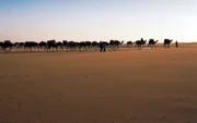 Die legendäre Salzkarawane von Bilma nach Agadez.