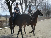 Polizeireiten
