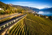 Goldenpass.