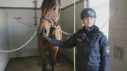 Polizeireiterin