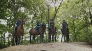 Berittene Polizei im Wald