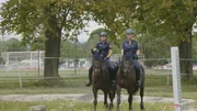 Prüfung berittene Polizei