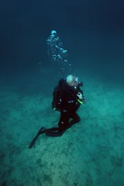 Jeremy Wade diving in a vertical position off the Florida Keys, Miami.