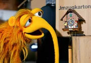 Zinell ist in einem Umzugswagen gelandet.