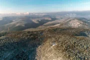 Der Pfälzerwald, das größte zusammenhängende Waldgebiet Deutschlands, beheimatet zahlreiche Wildtierarten und einen jahrhundertealten Baumbestand.