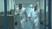 Die Ärzte