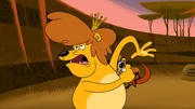 Der Löwe hat noch nie ein Eichhörnchen gesehen und ist ganz begeistert von Squeaks. Ein Eichhörnchen hat er noch nie gefressen!