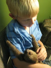 Boy with sloth.