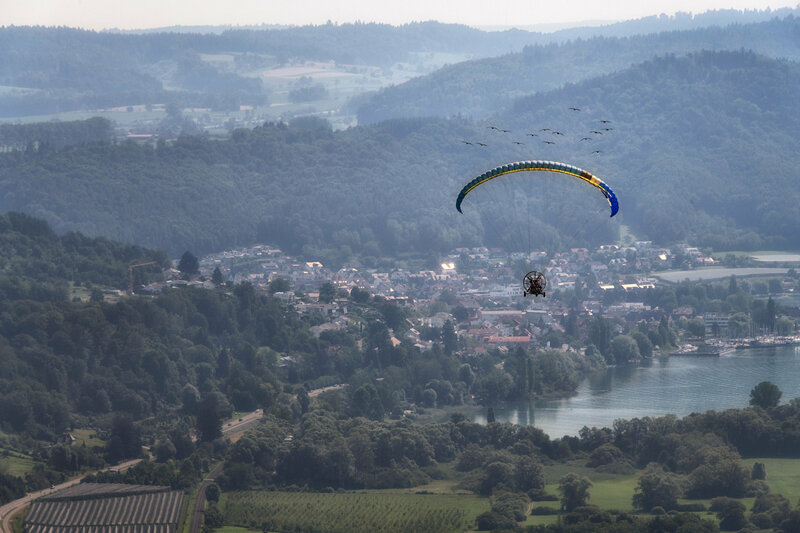 Einem Vogel das Fliegen beibringen (FIN, 2019)
