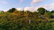 Guadeloupe