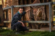 Le gardien Tom Garland avec le rhinocéros noir Kifaru