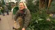 "Frau Christbaum"