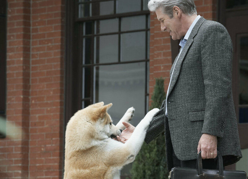 Hachiko Eine Wunderbare Freundschaft Usa 2009 Richard Gere Joan Allen Sarah Roemer Streams Tv Termine News Dvds Tv Wunschliste