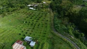 La Réunion