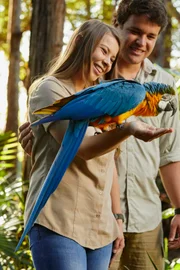 Bindi Irwin and  Chandler Powell