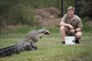 Robert feeding the alligators.