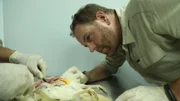 Josh Gates examines a potential victim of ?El Cupacabra?