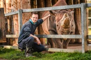 Le gardien Tom Garland avec le rhinocéros noir Kifaru