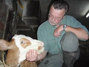 Seit 30 Jahren praktiziert Landtierarzt Volker Döring (54) in Geroldzhofen in Unterfranken und besitzt sogar eine eigene Wildtierauffangstation.