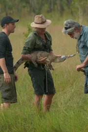 Damo holding crocodile with taped mouth. Matt (l.) and Charlie (r.) looking on.