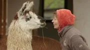 Jutta Fischer mit einem ihrer fünf Lamas.