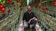 Auch im Lebensmittelanbau ist das Unternehmen aktiv. Erwin leitet seit sieben Jahren die Tomatenabteilung.