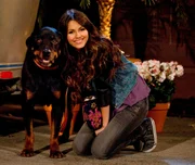 "Jade Dumps Beck"---Victoria Justice with a dog in VICTORIOUS on Nickelodeon. Photo: Lisa Rose/Nickelodeon ©2010 Viacom, International. All Rights Reserved, .