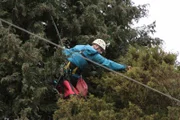 Nearly forty feet up a tree, Shaun Sears reaches for Simons.