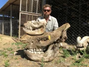 Forrest Galante Posing With Multiple Skulls