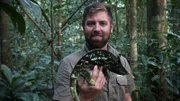 Forrest Galante holding a Parson's chameleon.